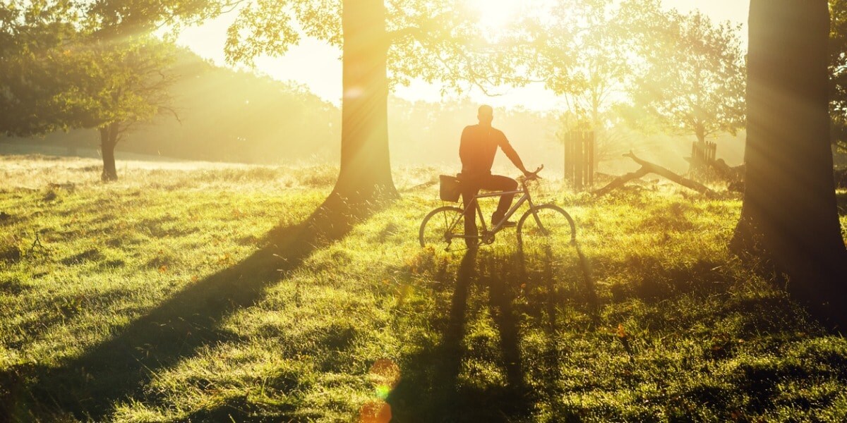 Resource asset image